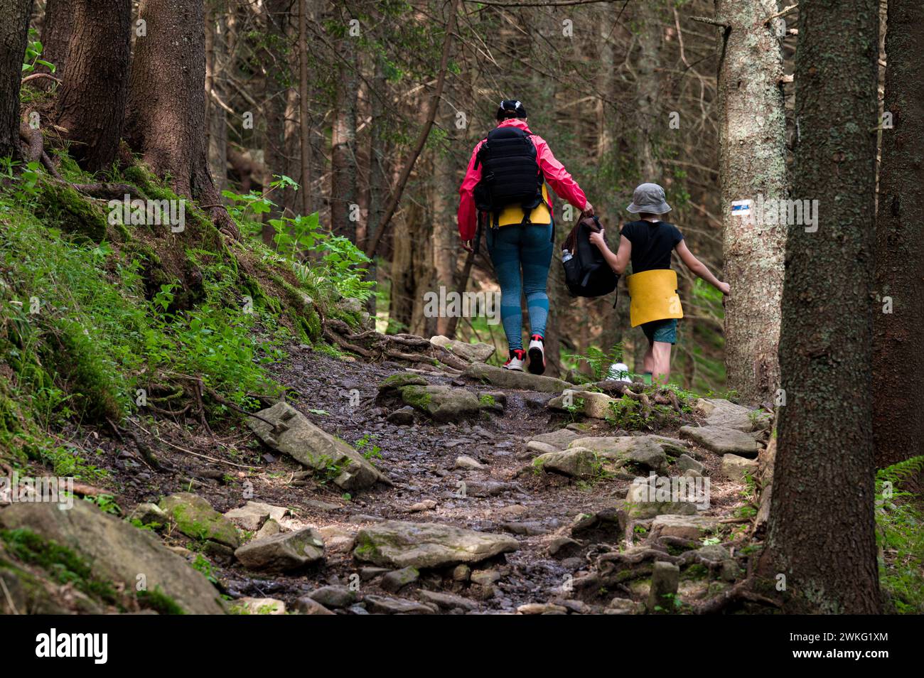 A mother and her son are walking along a mountain hiking trail with backpacks. Stock Photo