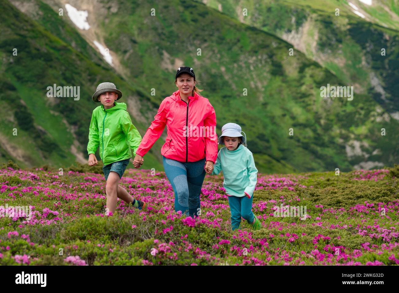 A mother with her son and daughter are walking among rhododendron bushes against the background of the majesty of the Carpathian Mountains, active sum Stock Photo