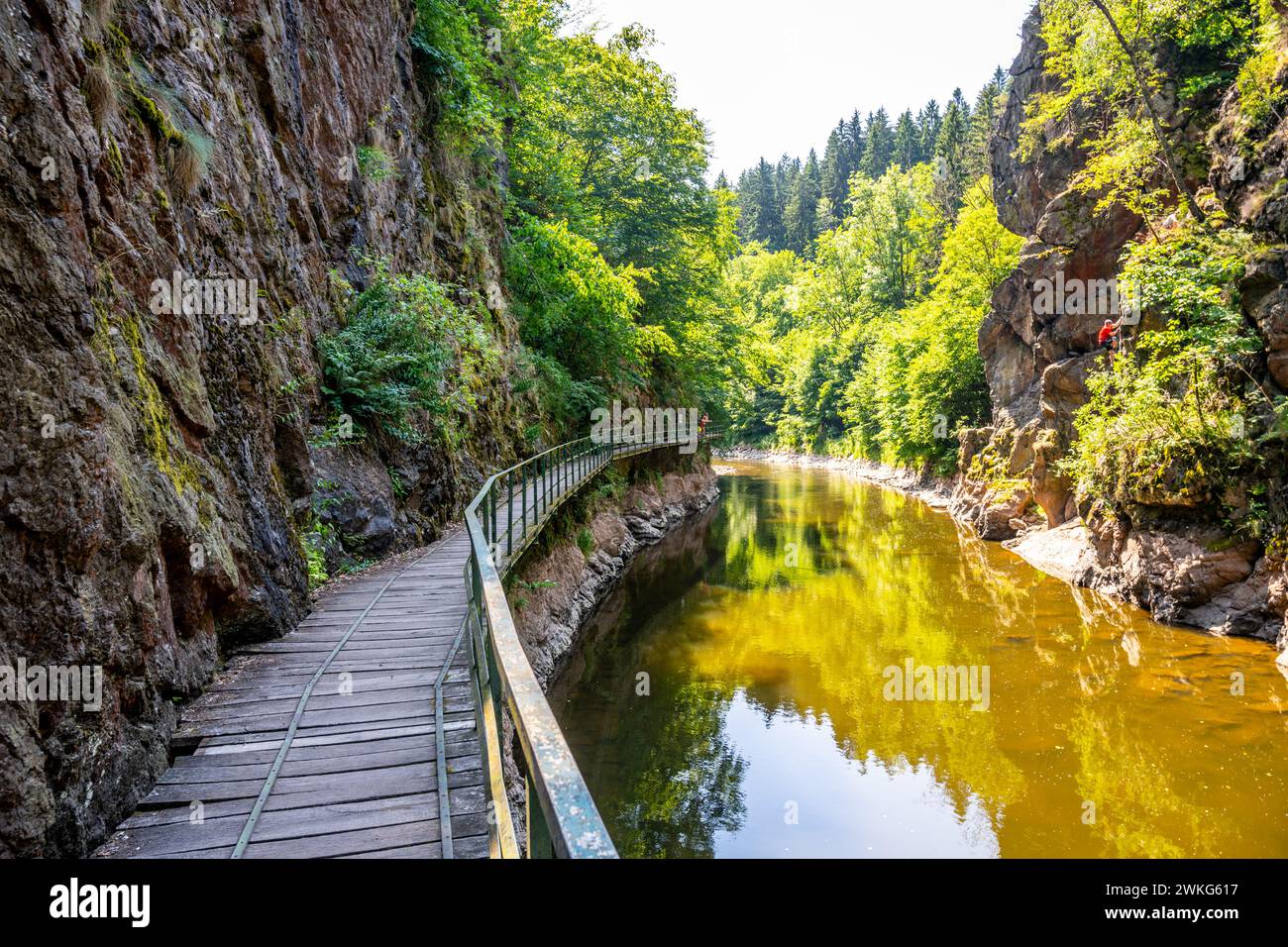 Wooden bridge pathway above Jizera River. Rieger Trail between Semily ...