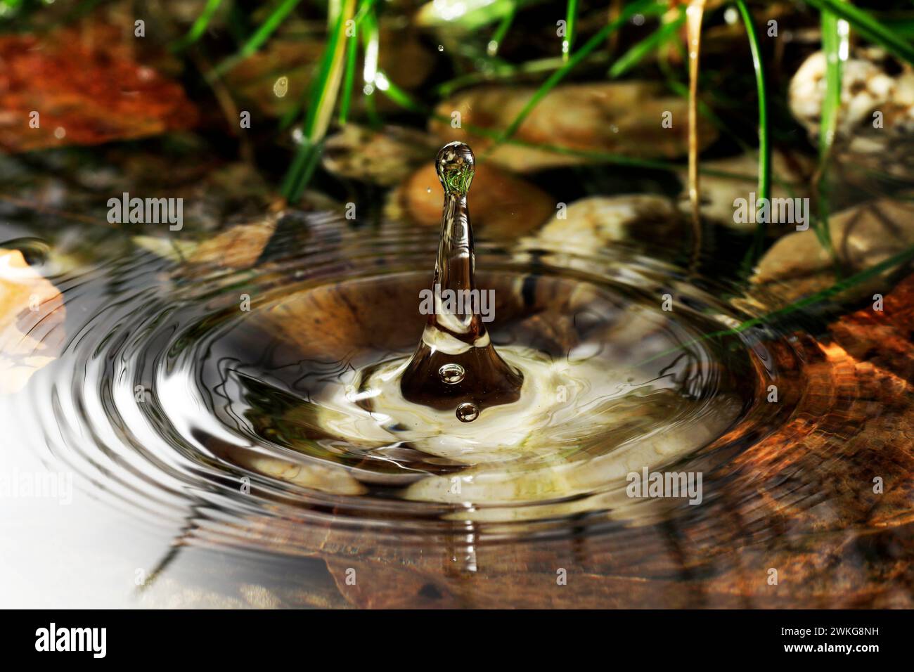 Spring water falling on leaves hi-res stock photography and images - Alamy