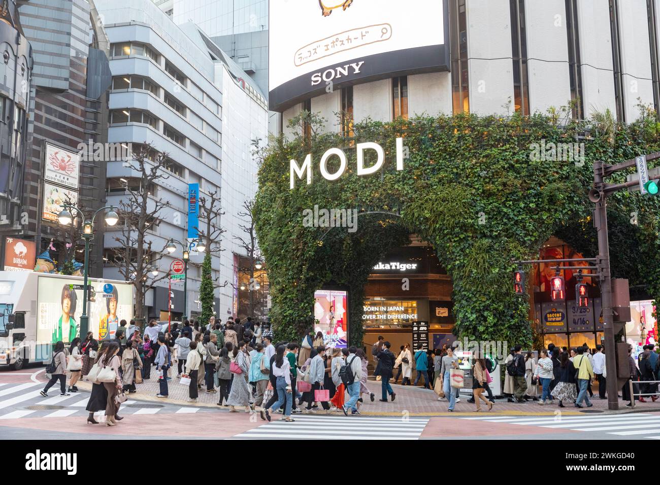 Shibuya ward of Tokyo, Shibuya Modi shopping mall with people crossing pelican crossing at road junction, Japan,Asia,2023 Stock Photo