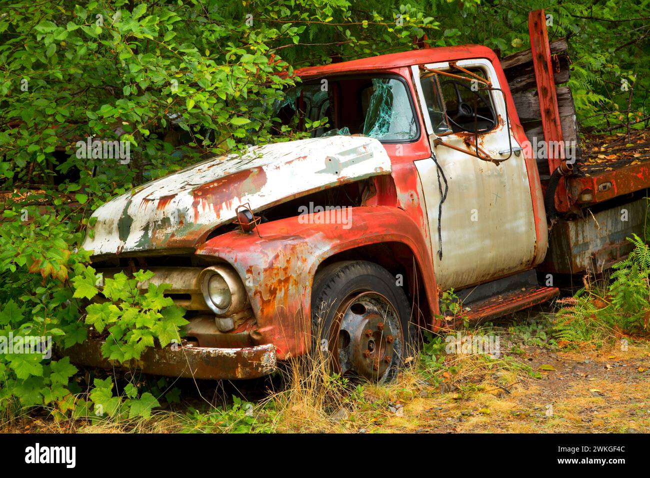Antique truck at Jawbone Flats, Opal Creek Scenic Recreation Area, Willamette National Forest, Oregon Stock Photo