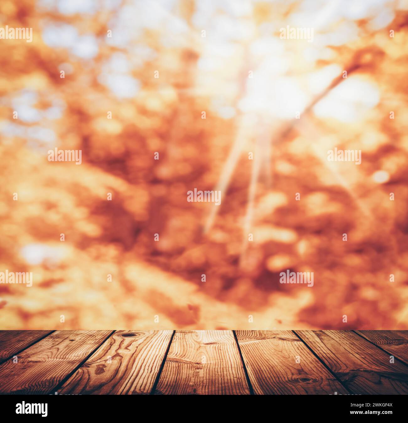Autumn, fall, Thanksgiving concept.  table and autumn nature. Warm day. Empty wooden table and autumn leaves over blurred nature background. Fall back Stock Photo