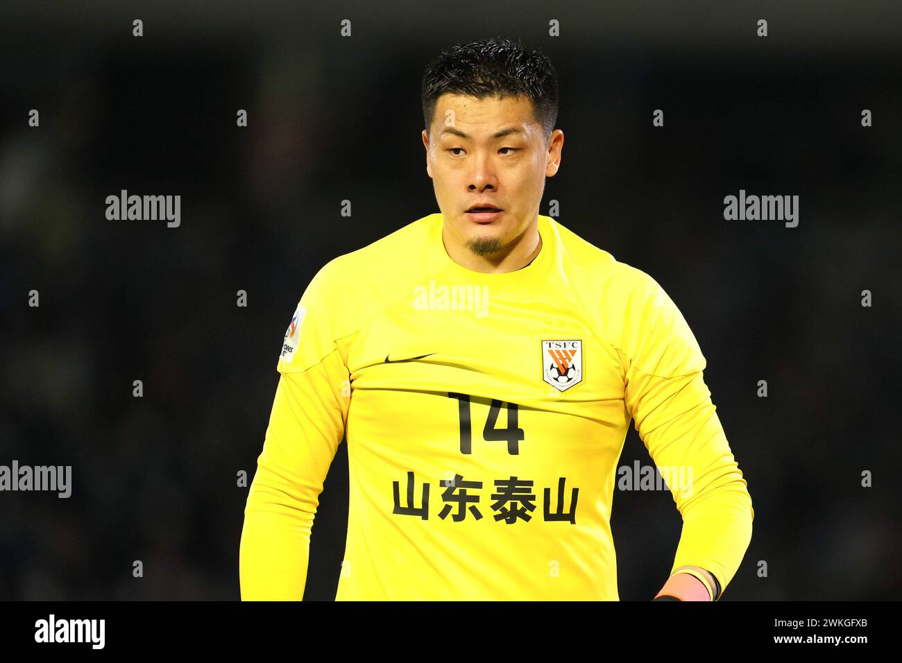 Wang dalei hi-res stock photography and images - Alamy Wang dalei hi-res stock photography and images - Alamy