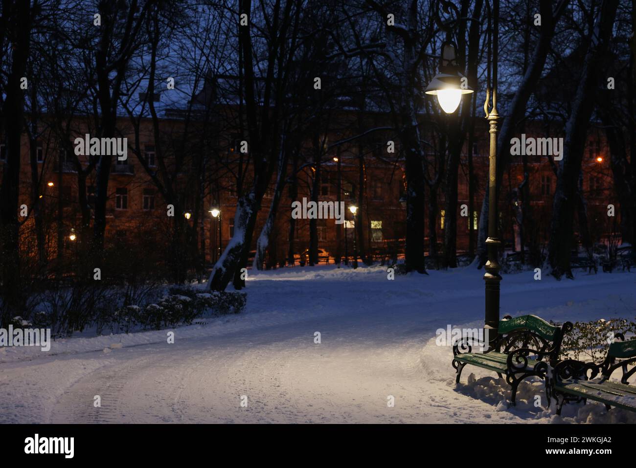 Trees, street lamp and pathway covered with snow in evening park Stock ...
