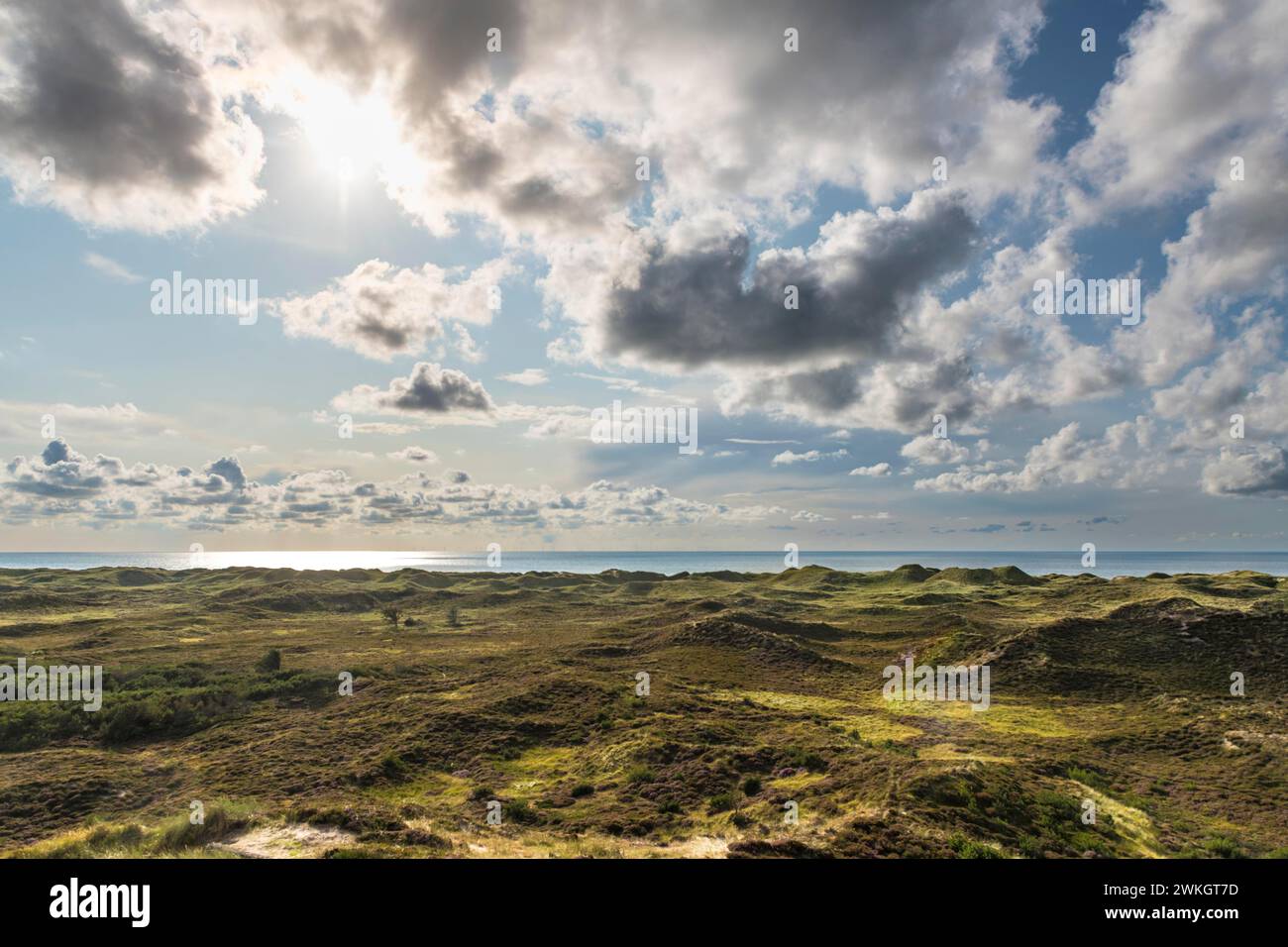 View Over Dune Landscape With Loose Clouds Cumulus Mediocris Onto The view-over-dune-landscape-with-loose-clouds-cumulus-mediocris-onto-the