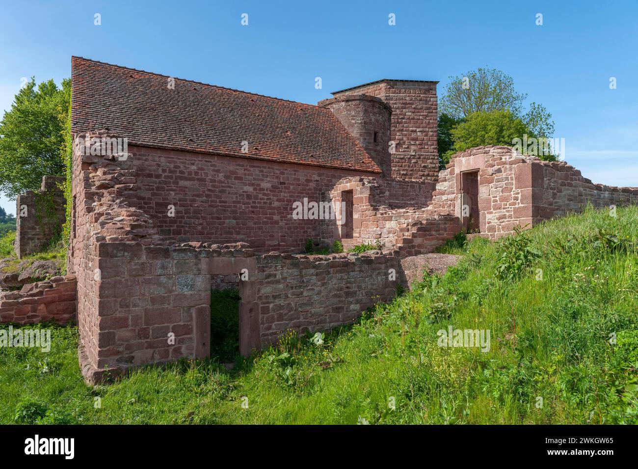 Ruins of Luetzelburg, Lutzelbourg, Lorraine, France, Alsace Stock Photo