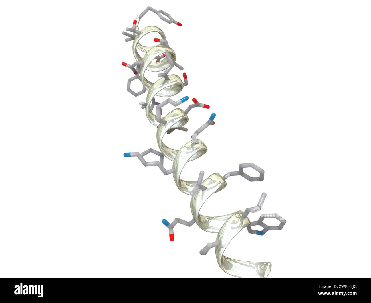 Antidiabetic drug tirzepatide molecular structure, illustration Stock ...