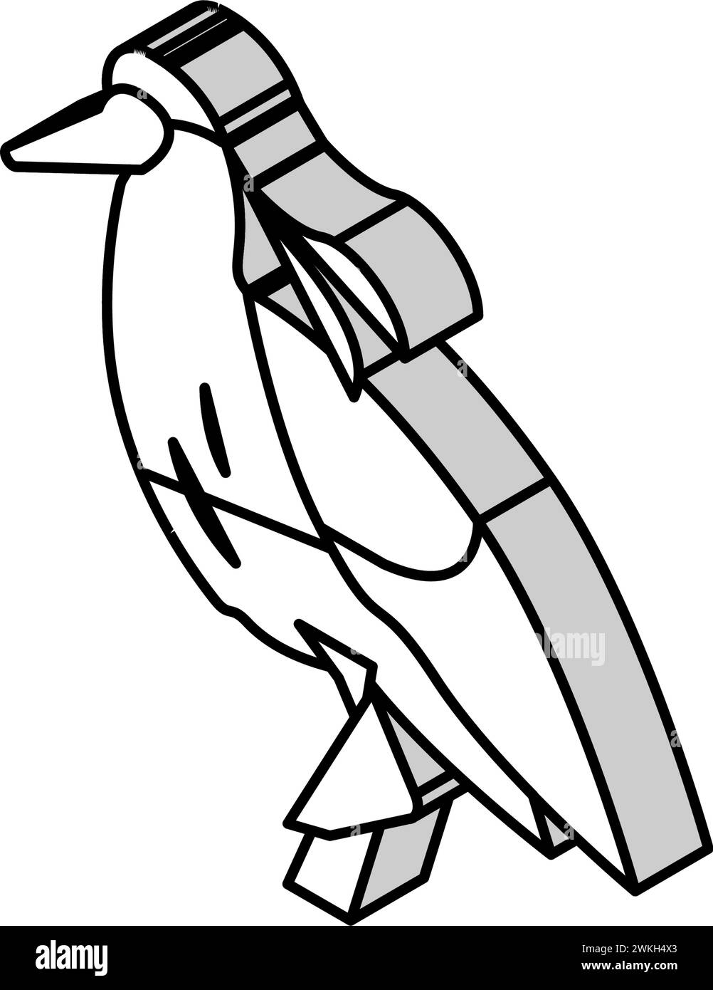 capped heron bird exotic isometric icon vector illustration Stock