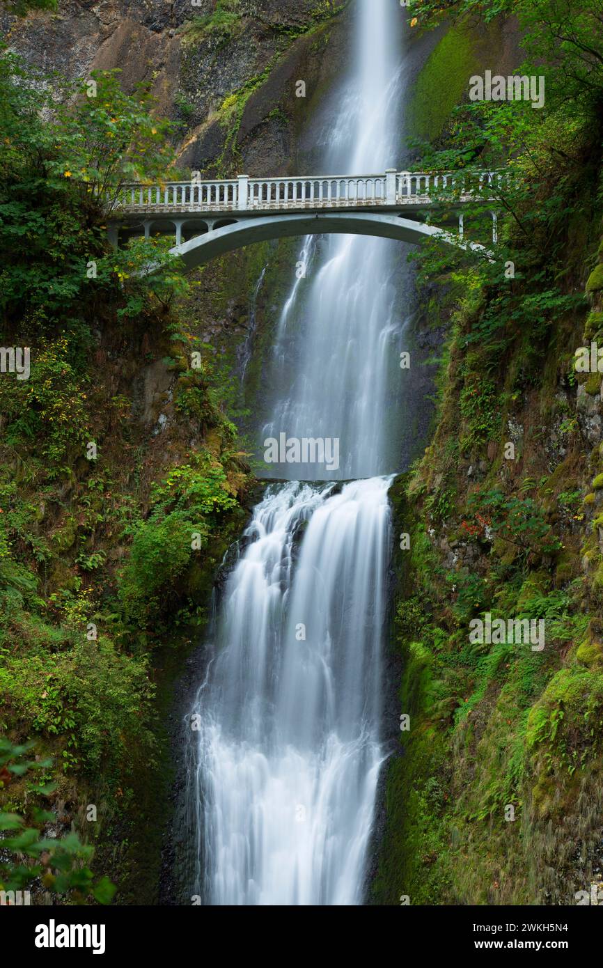 Multnomah Falls with Benson Bridge, Historic Columbia River Highway ...