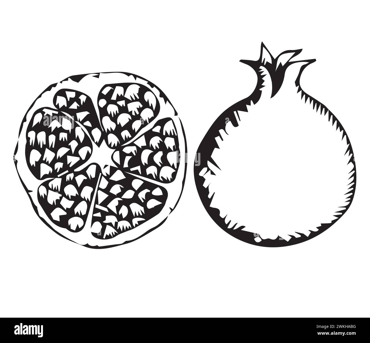 Pomegranate fruit. Hand drawing. Graphics. Vector illustration isolated on white background. Stock Vector
