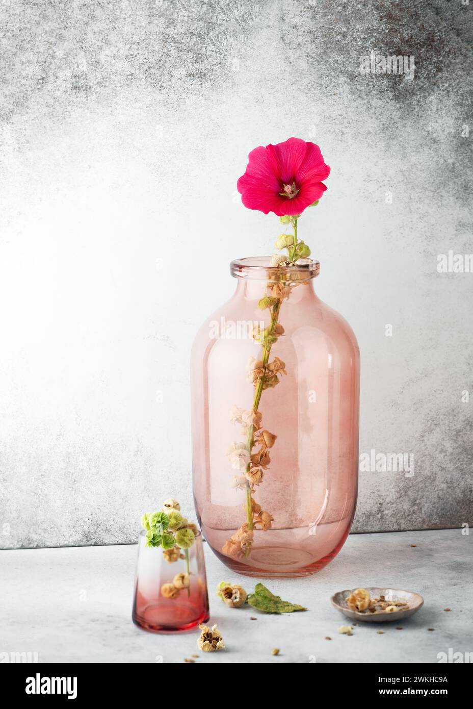 Flower arrangement with red, magenta hollyhock flower in a large glass vase. (Alcea rosea) Romantic floral still life. Home decor concept. Copy space. Stock Photo