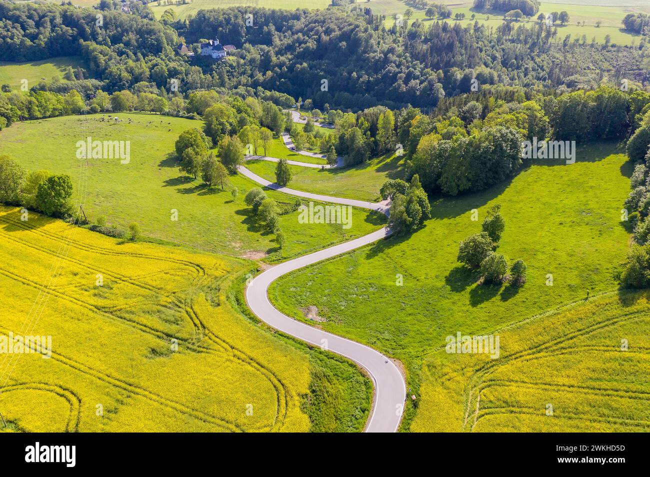 Luftbild der kurvenreichen Serpentinenstraße zwischen blühenden Rapsfeldern von Reifland nach Rauenstein, im Hintergrund das Schloss Rauenstein, Pocka Stock Photo