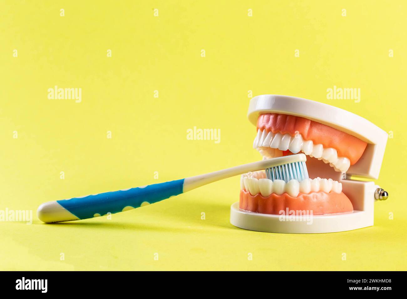 Children's toothbrush with soft bristles in the oral cavity of a dental ...