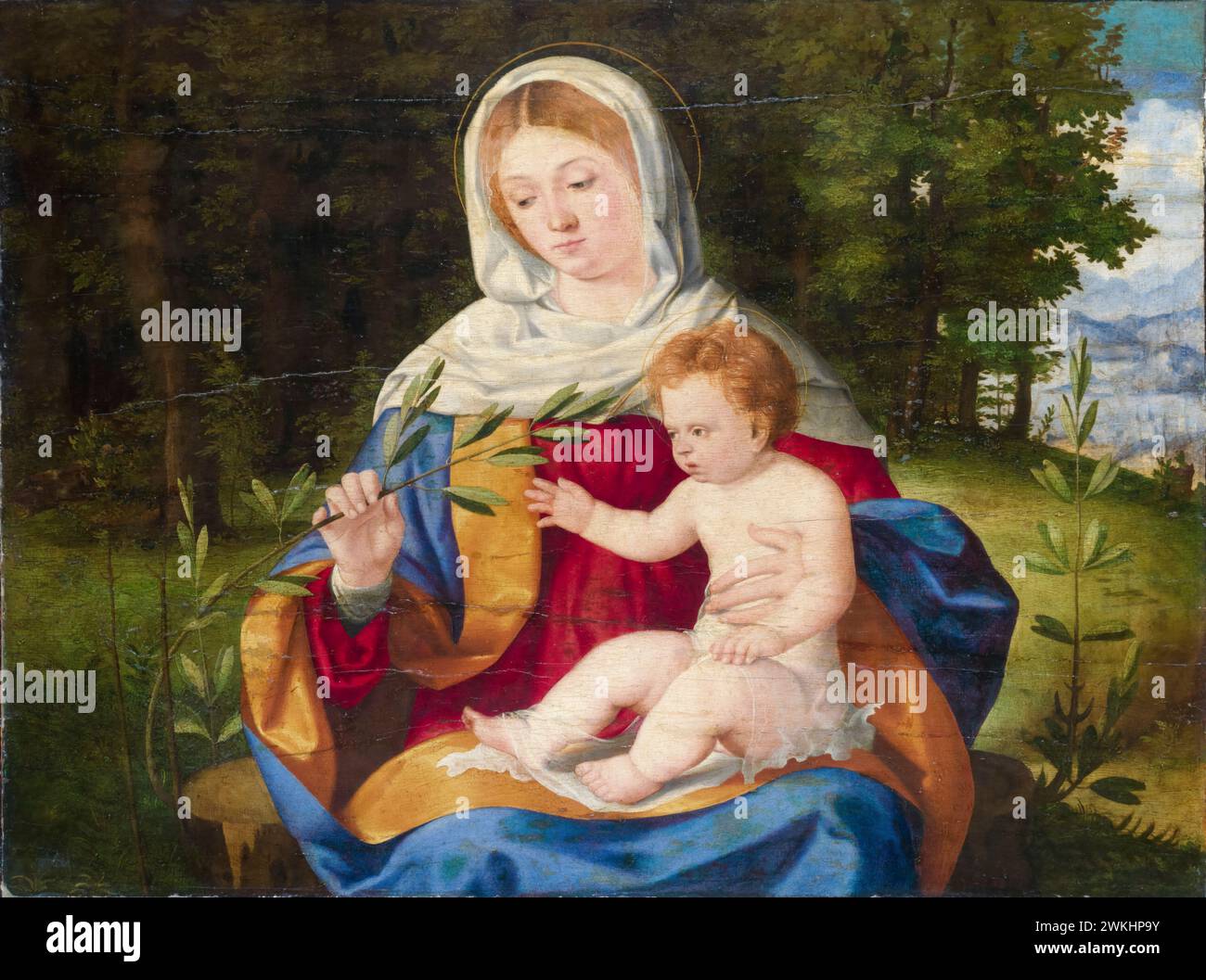 Andrea Previtali painting, The Virgin and Child with a Shoot of Olive, oil on wood, circa 1515 Stock Photo