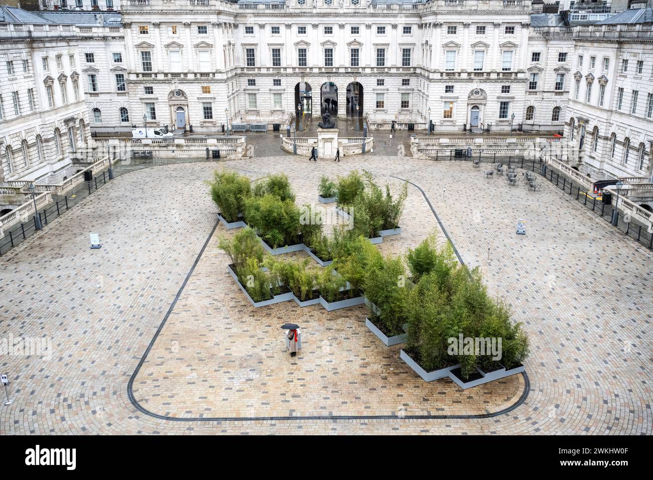 London, UK.  21 February 2024. A general view at a photocall for ‘Bamboo as Method’, a large scale new commission in the courtyard of Somerset House by Hong-Kong based artist Zheng Bo.  The 15-metre-long bamboo garden, comprises 300 locally sourced bamboo plants between 2 and 4 metres tall, inviting visitors to slow down and interact with nature.  The installation can be seen until 28 April.  Credit: Stephen Chung / Alamy Live News Stock Photo