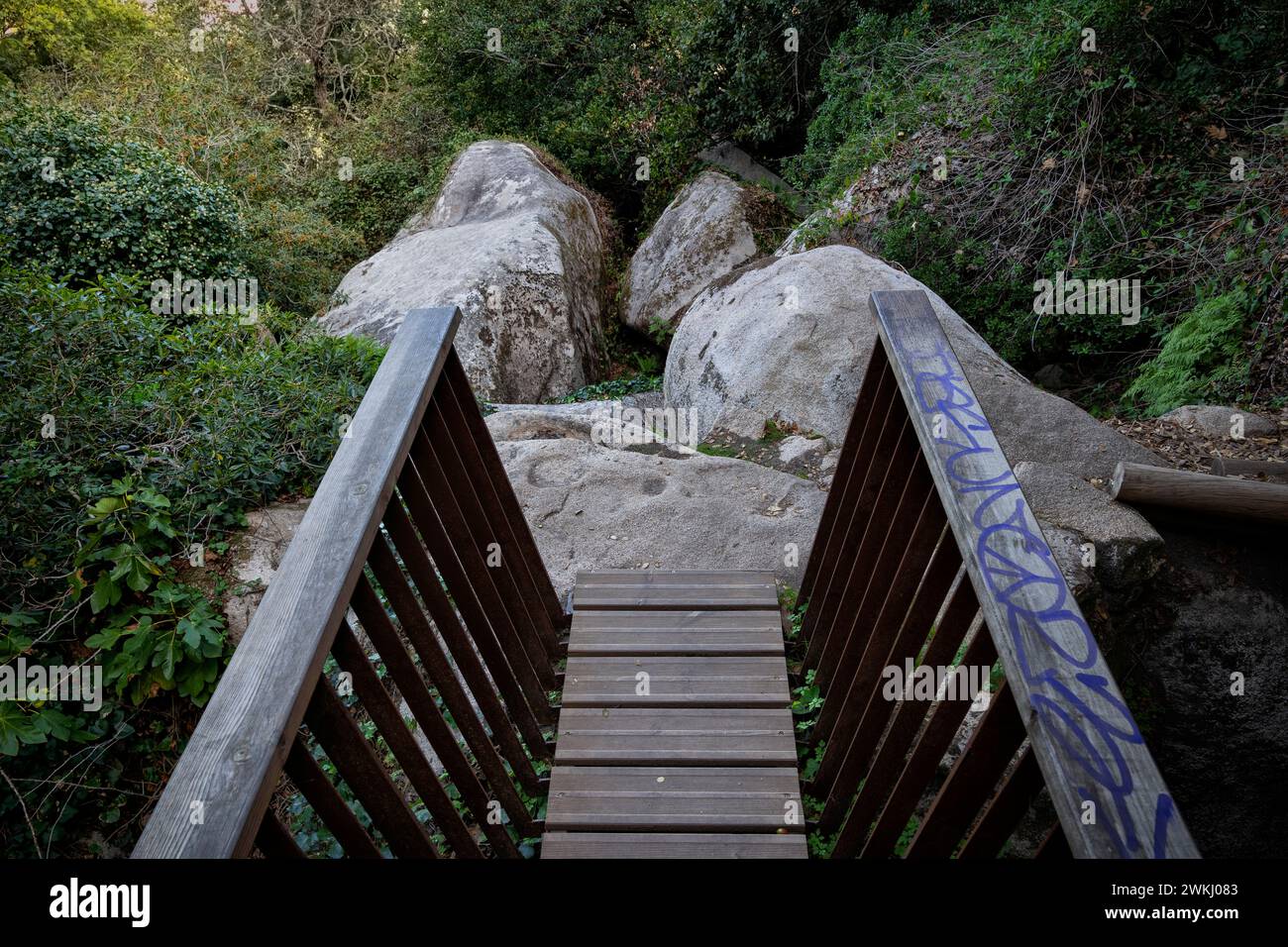 Footbridge end to small glade with boulder rocks in the forest of Sintra Mountains in Portugal. Stock Photo