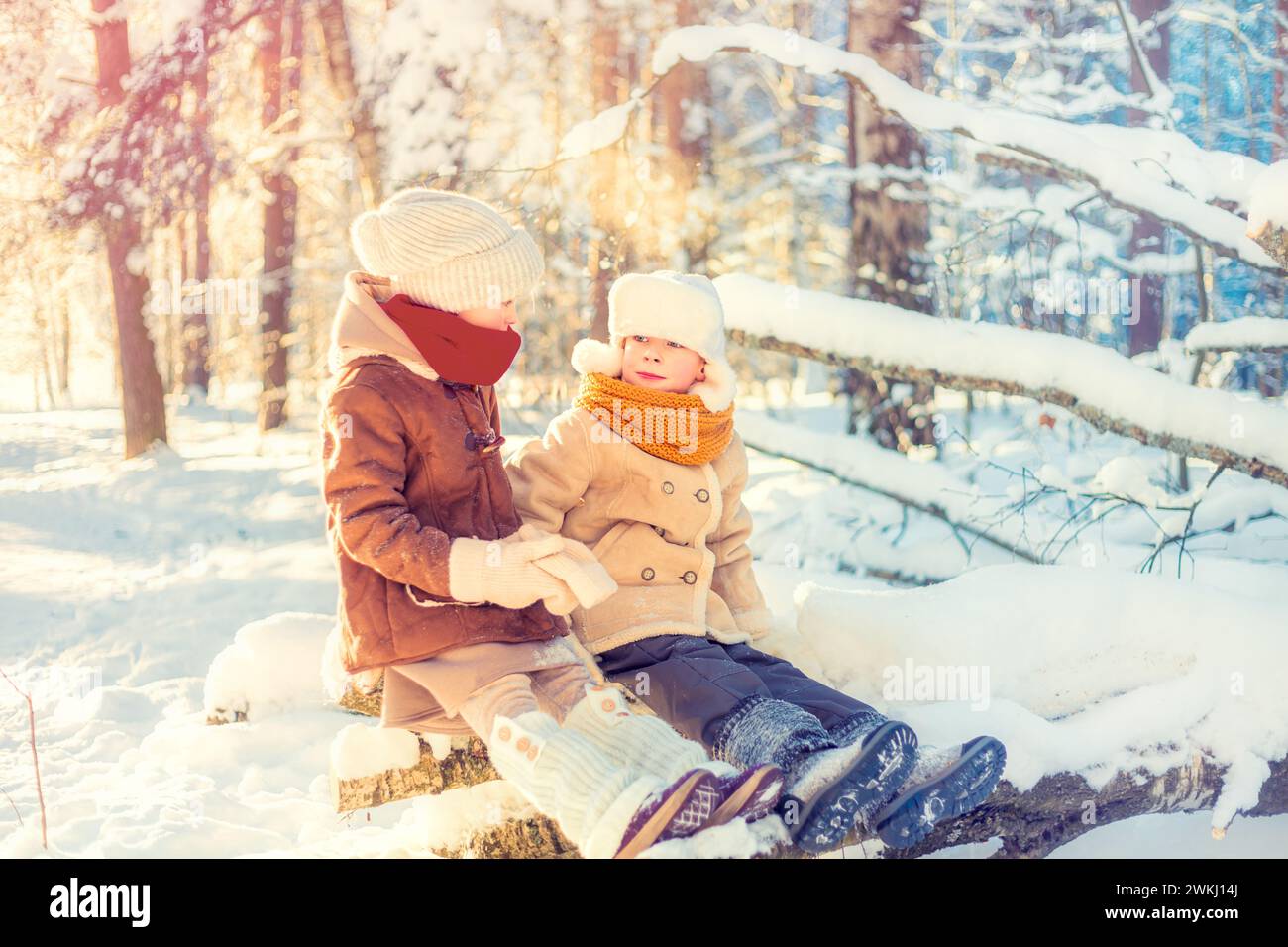 Children sit on a tree in a winter snowy forest. Frosty sunny day. Stock Photo