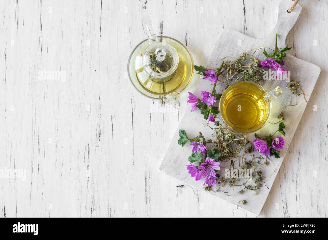 Cup of common mallow tea with fresh blooming malva sylvestris plant on white rustic table, alternative medicine Stock Photo