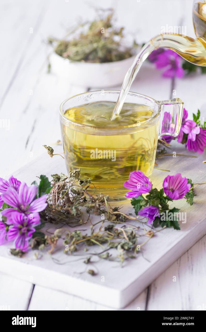 Cup of common mallow tea with fresh blooming malva sylvestris plant on white rustic table, alternative medicine Stock Photo