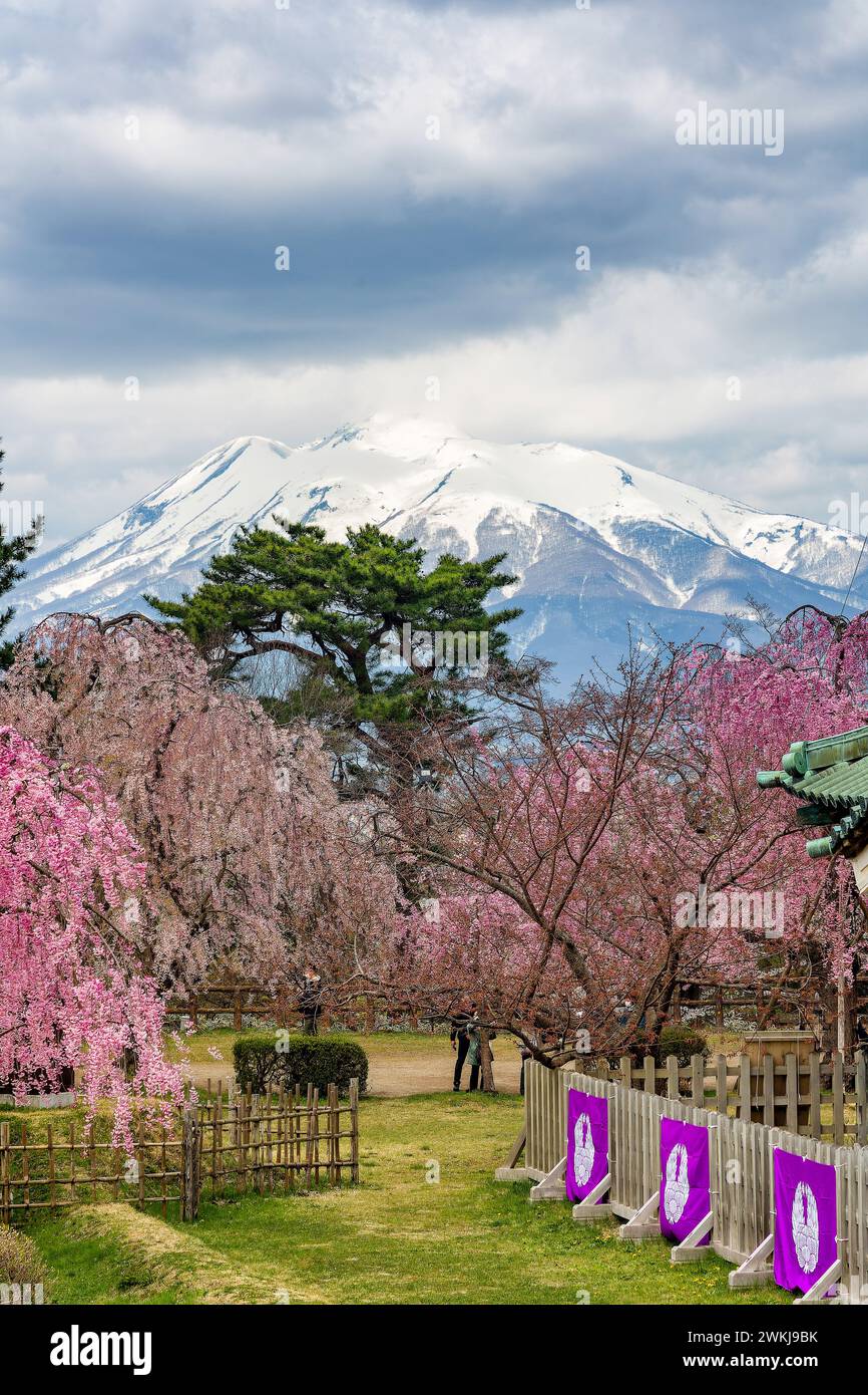 The snow-capped volcano of Mount Iwaki viewed from the historic Hirosaki Castle in Aomori Prefecture, Japan Stock Photo