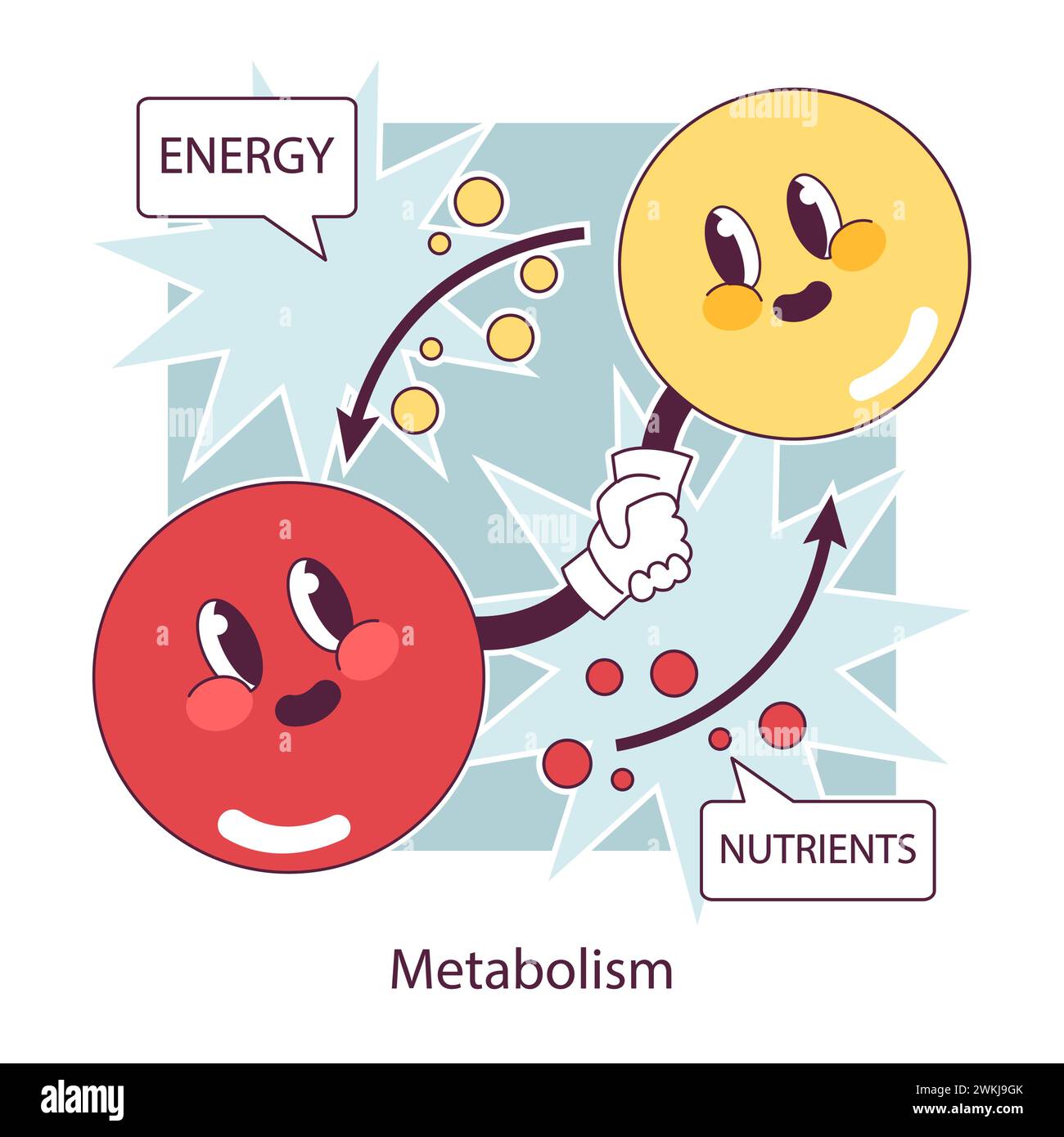Endocrine system function. Cellular metabolism. Biochemical reaction in ...