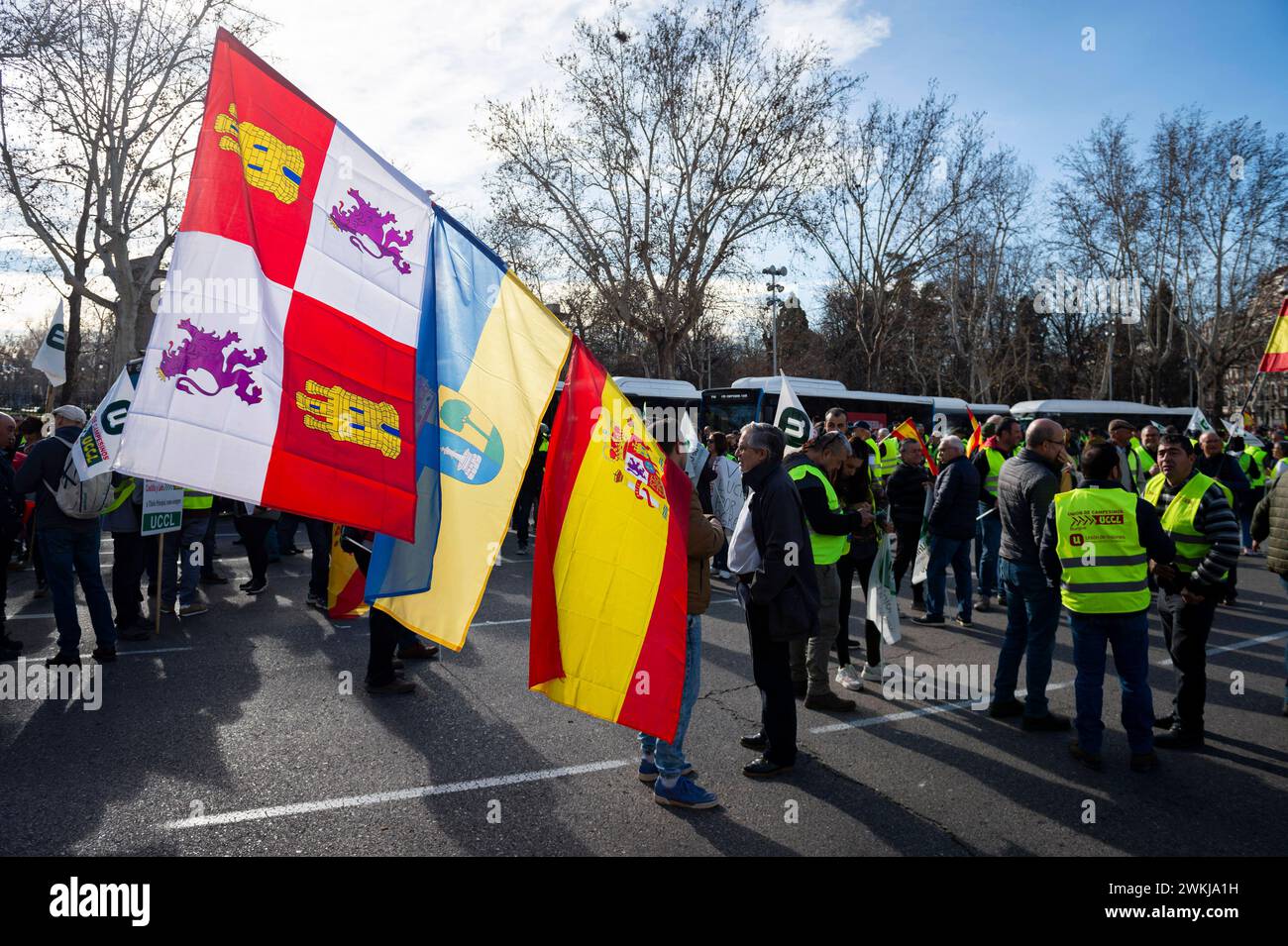 Spanish farmer demonstration in Madrid A group of protesters with the Spanish regional flags seen during the farmers demonstration in Madrid the protest, organized by Spanish trade unions, is focused on concerns over unfair competition from products originating outside the EU. Farmers are also unhappy about the meager profits derived from their crops and are critical of EU agricultural policy. Madrid Puerta de Alcala Madrid Spain Copyright: xAlbertoxGardinx AGardin 20240221 manifestacion tractores madrid 028 Stock Photo