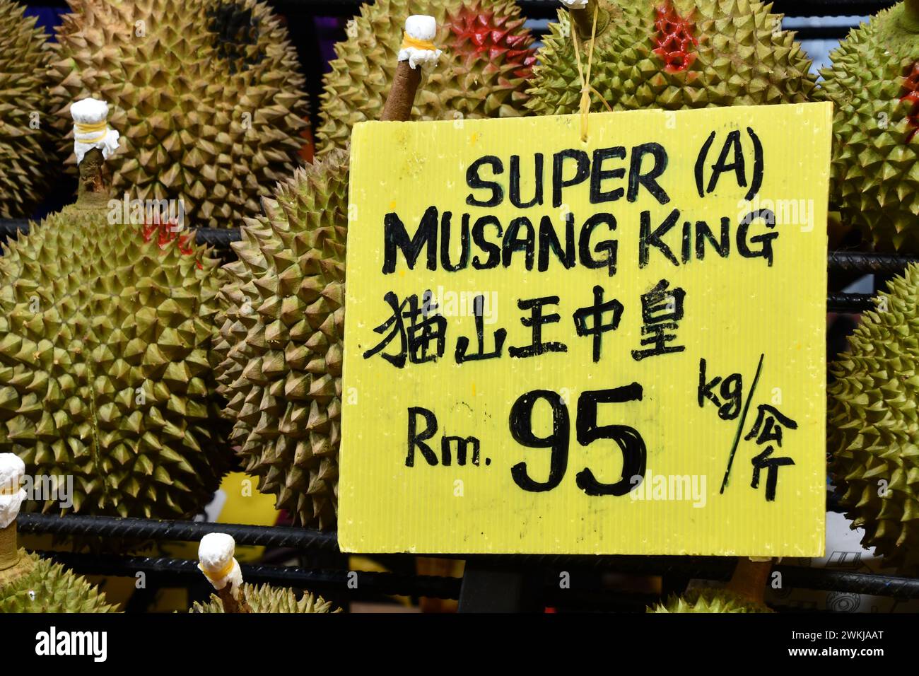 Delicious juicy fleshy aromatic Malaysian durians sold by fruit stalls
