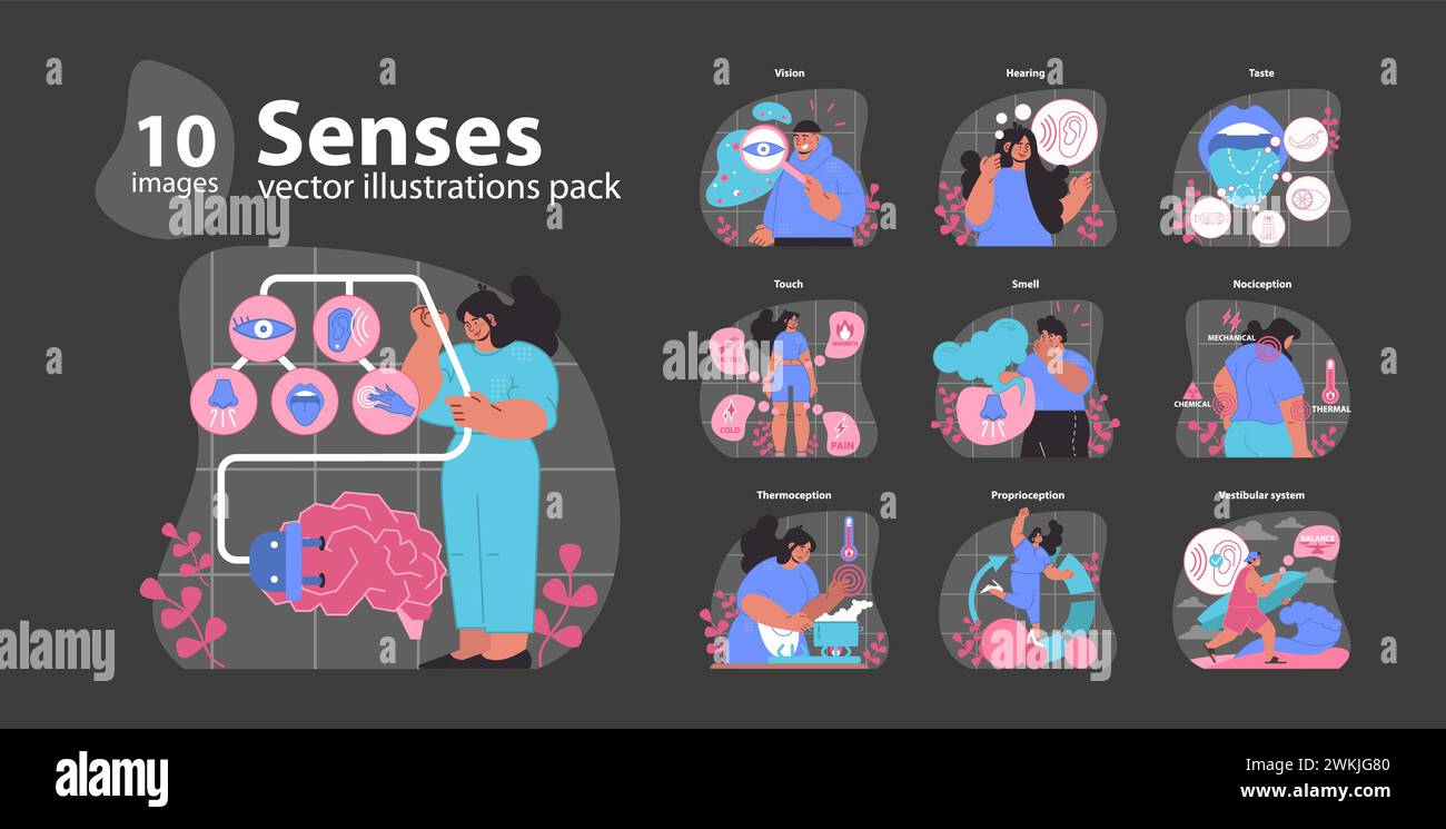 Senses set. Human sensory organs and functions. Interaction of smell, taste, touch, vision, hearing, and balance. Central nervous system connection. Flat vector illustration. Stock Vector