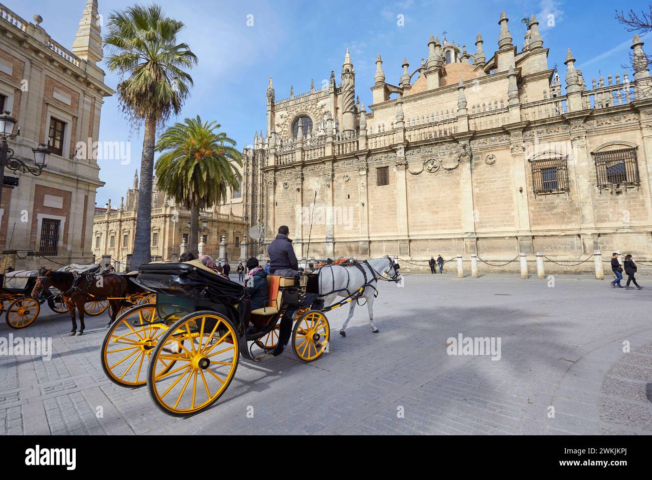 A traditional horse carriage in Plaza del Triunfo with the cathedral in the background, Seville, Andalucia, Spain, Europe. Stock Photo