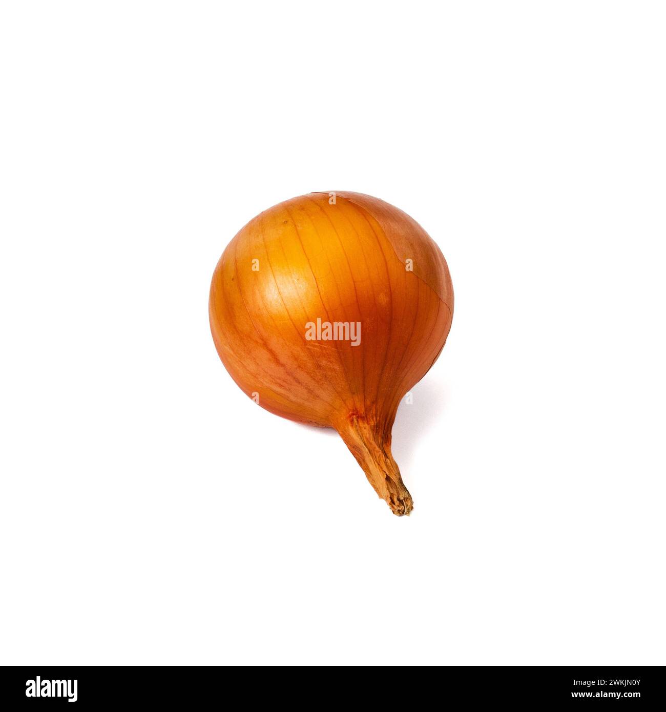 Whole and halved fresh onions hi-res stock photography and images - Alamy