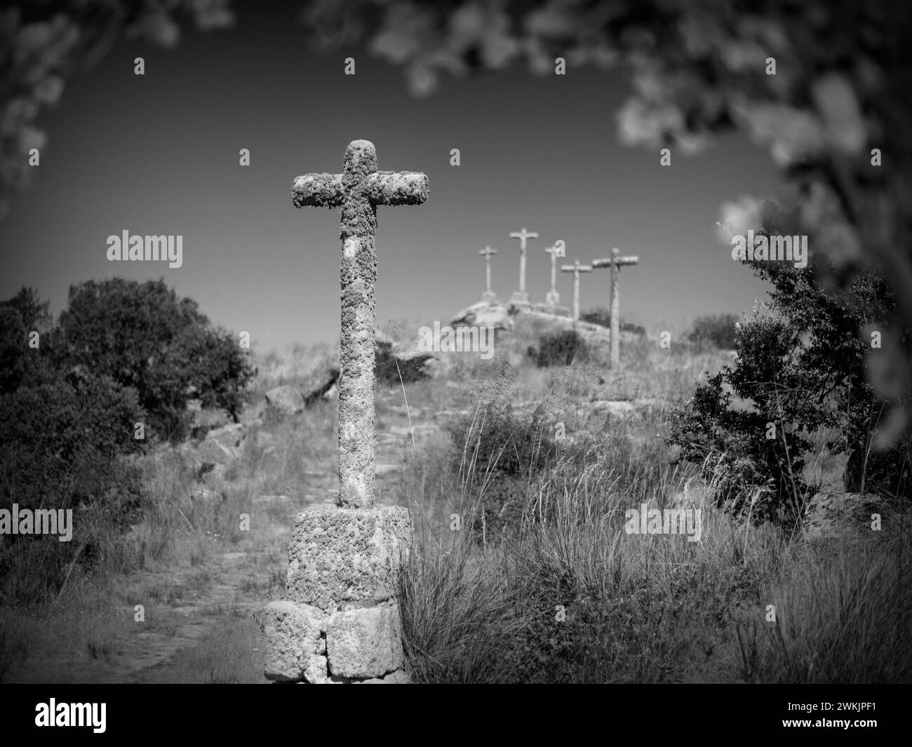 diversas cruces enfocada sobre el primer plano Stock Photo