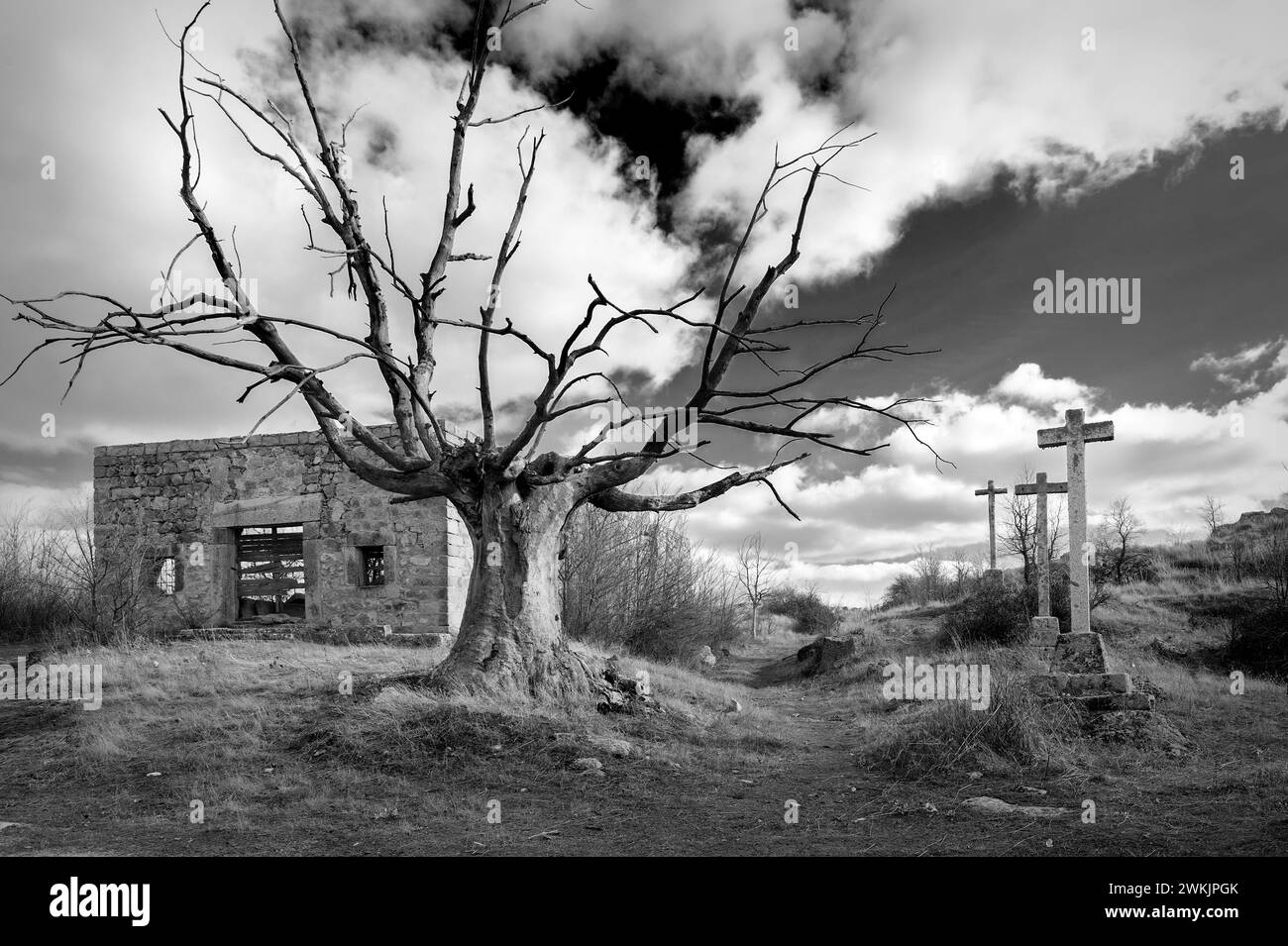 various stone crosses with tree and abandoned house Stock Photo