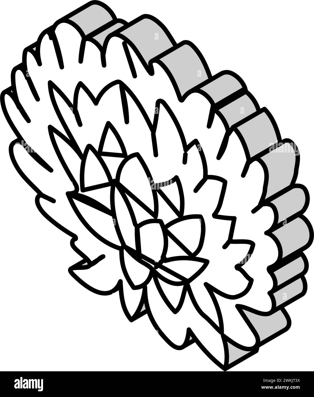 chrysanthemum blossom spring isometric icon vector illustration Stock Vector