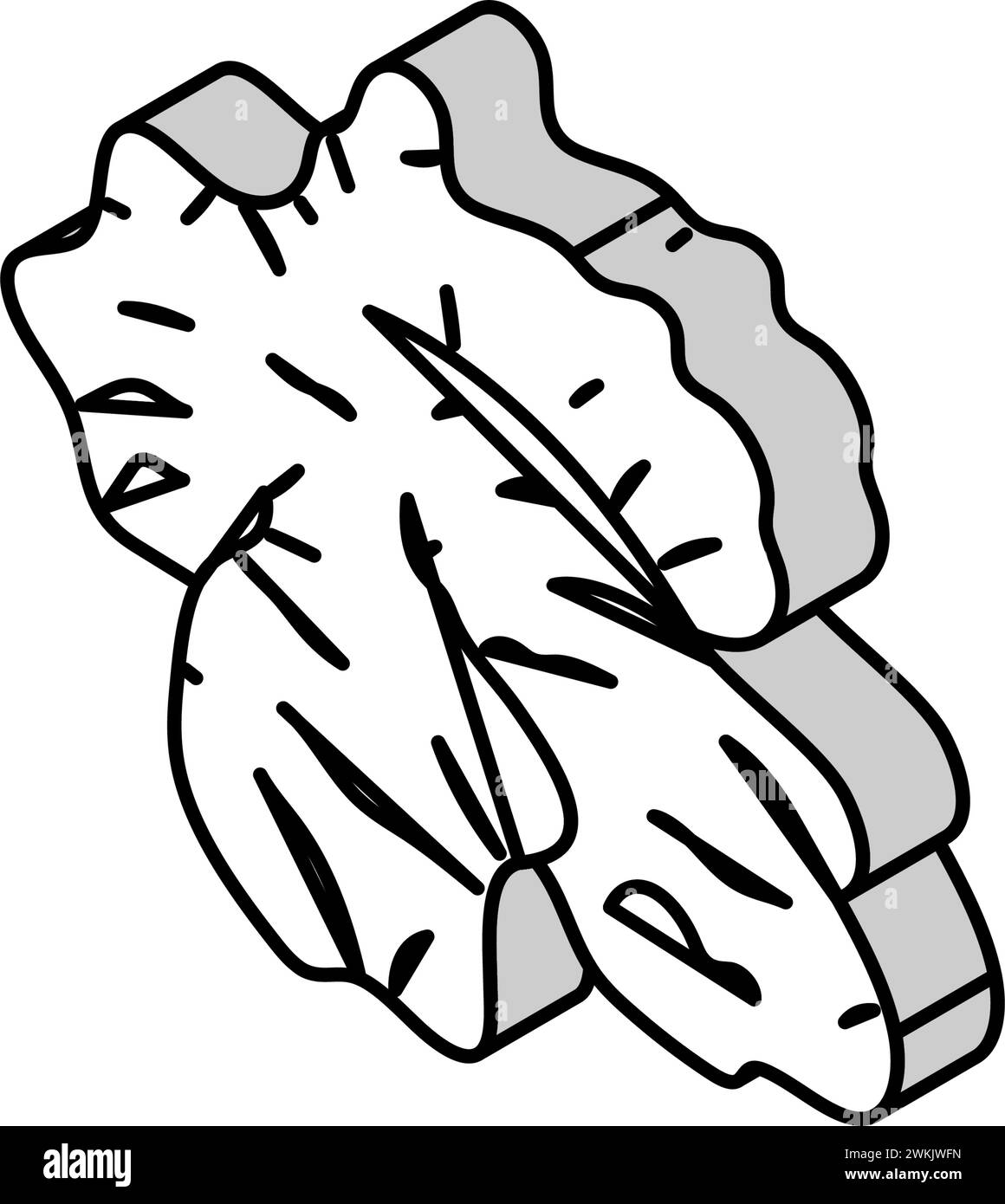 cardamom food herb isometric icon vector illustration Stock Vector ...