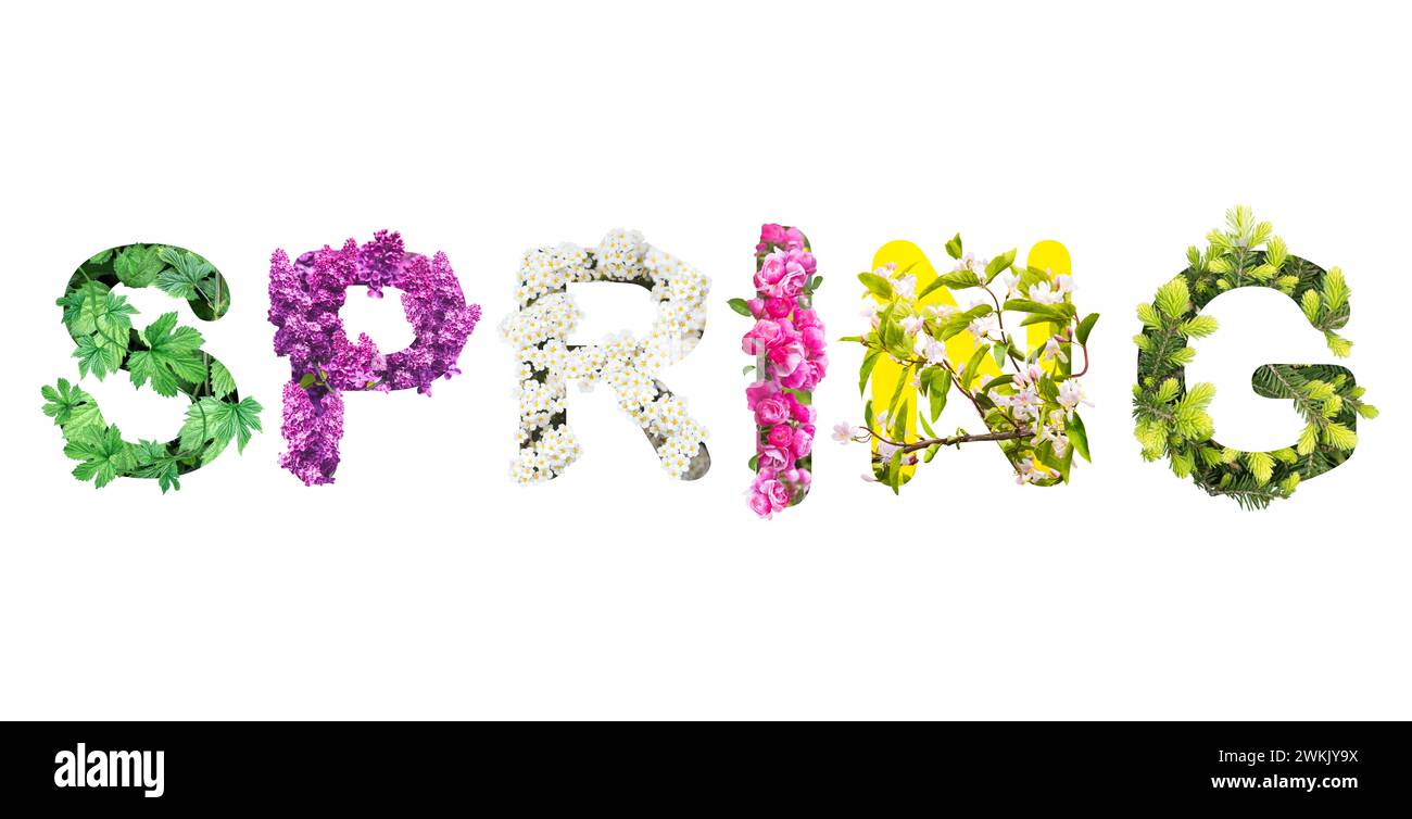 Floral letters hi-res stock photography and images - Alamy