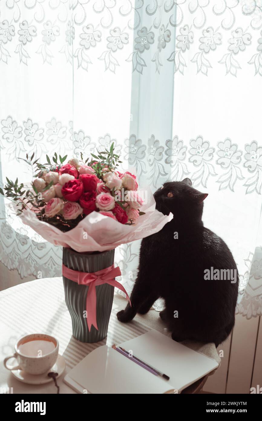 black cat sniffing the bouquet of roses Stock Photo