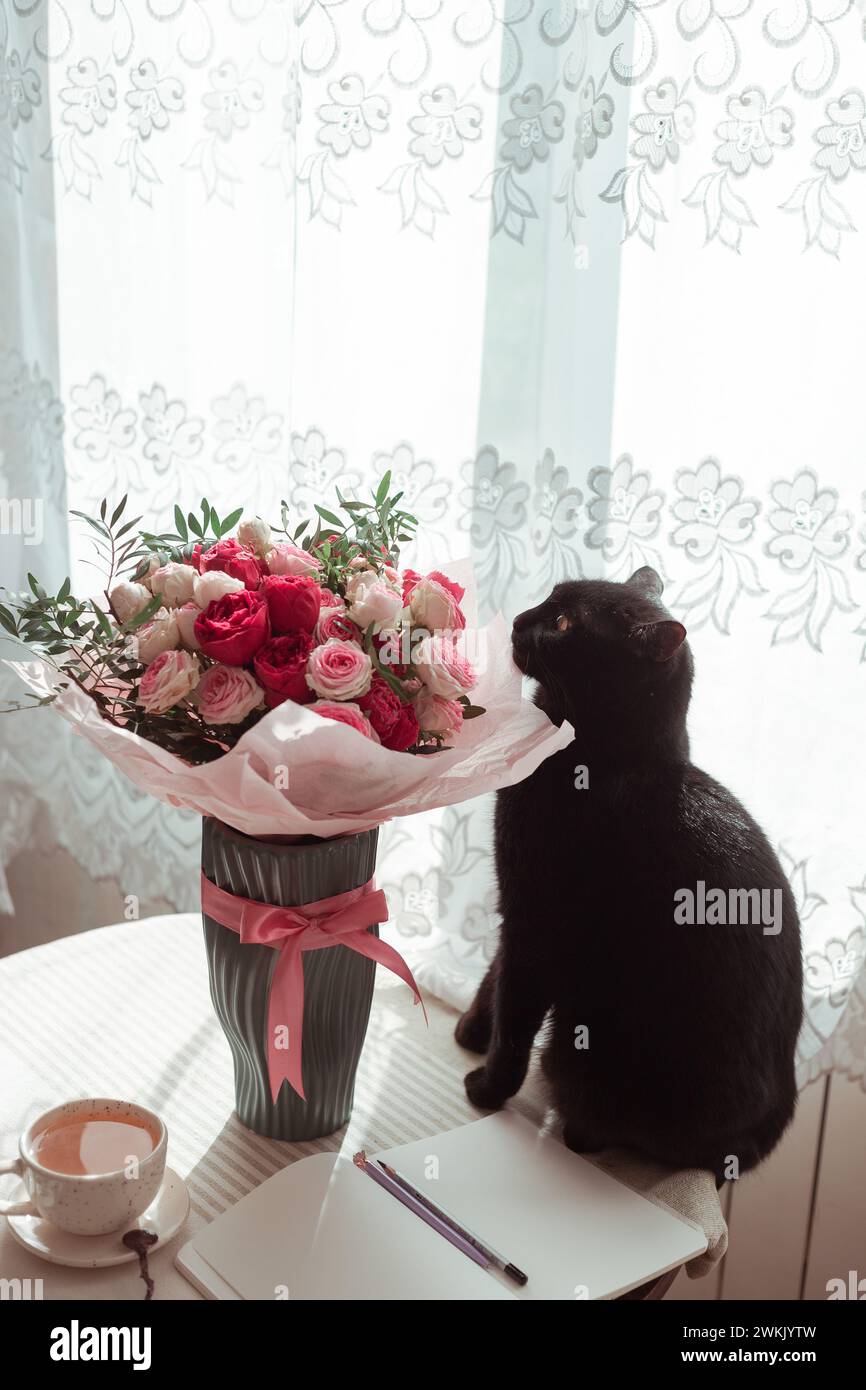 Cat sniffing at rose hi-res stock photography and images - Alamy