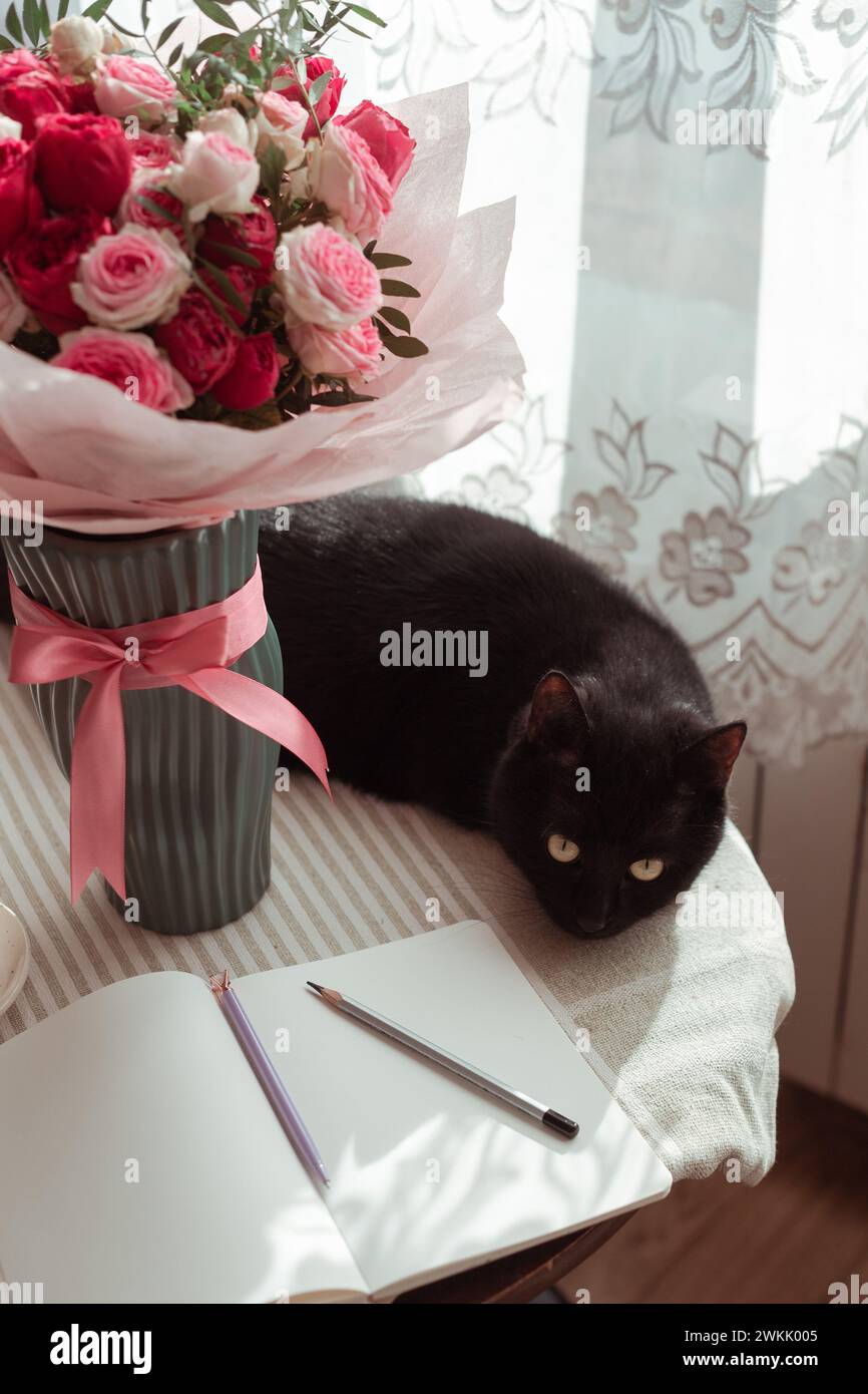 Cat sniffing at rose hi-res stock photography and images - Alamy