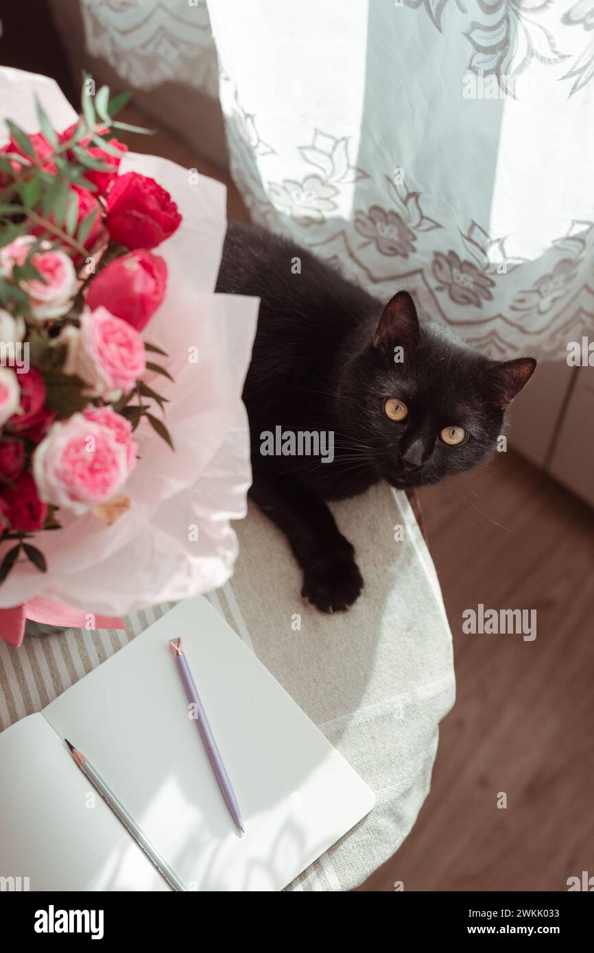 Cat sniffing at rose hi-res stock photography and images - Alamy