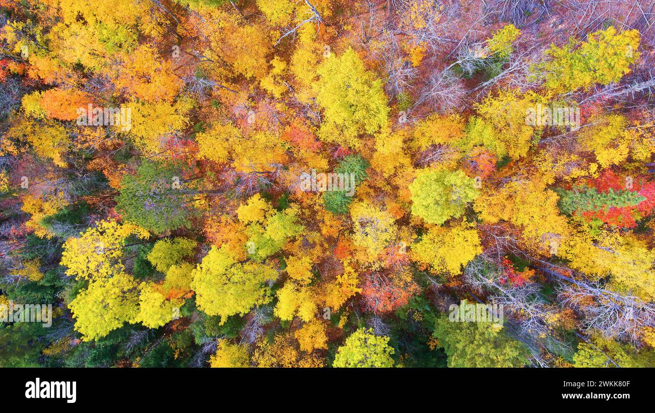 Aerial top down shot canyon hi-res stock photography and images - Alamy