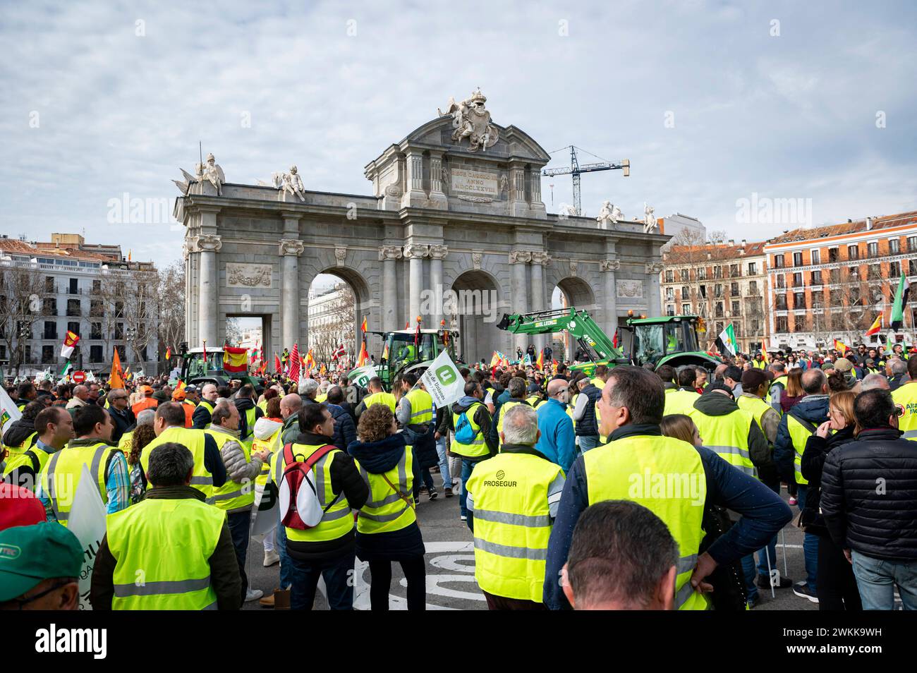 Spanish farmer demonstration in Madrid Protesters with tractors seen during the farmers demonstration in Puerta de Alcala in Madrid the protest, organized by Spanish trade unions, is focused on concerns over unfair competition from products originating outside the EU. Farmers are also unhappy about the meager profits derived from their crops and are critical of EU agricultural policy. Madrid Puerta de Alcala Madrid Spain Copyright: xAlbertoxGardinx AGardin 20240221 manifestacion tractores madrid 052 Stock Photo