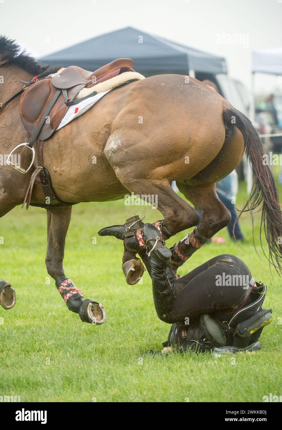 Fallen female horseback rider on ground wearing protective vest  expands when rider falls and releases valve protecting riders body in competition Stock Photo