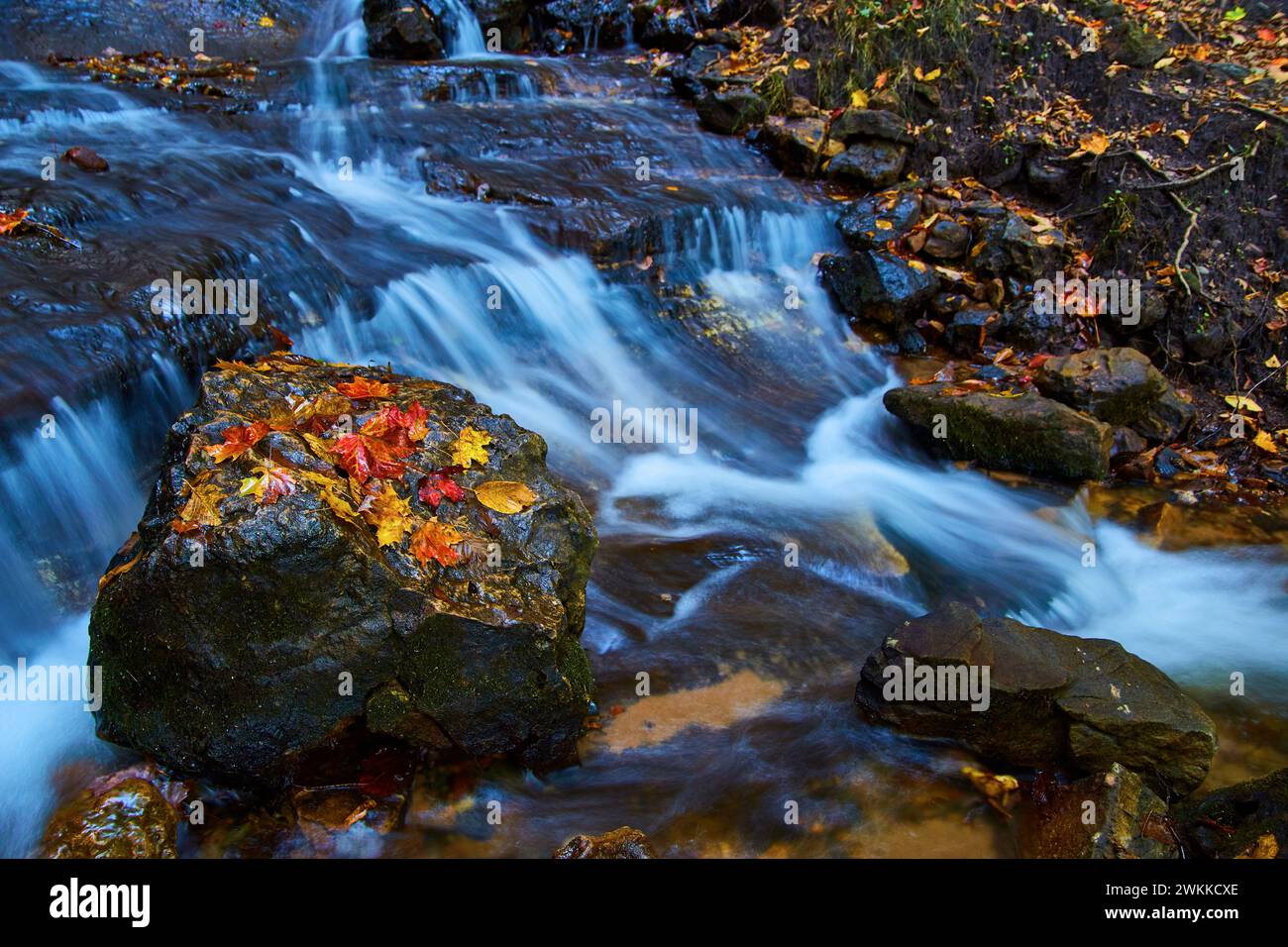Stream in woodland hi-res stock photography and images - Alamy