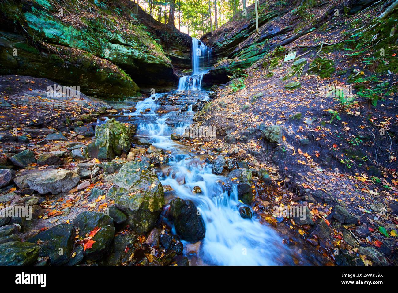 Autumn Waterfall Serenity in Michigan Forest - Eye-Level View Stock Photo