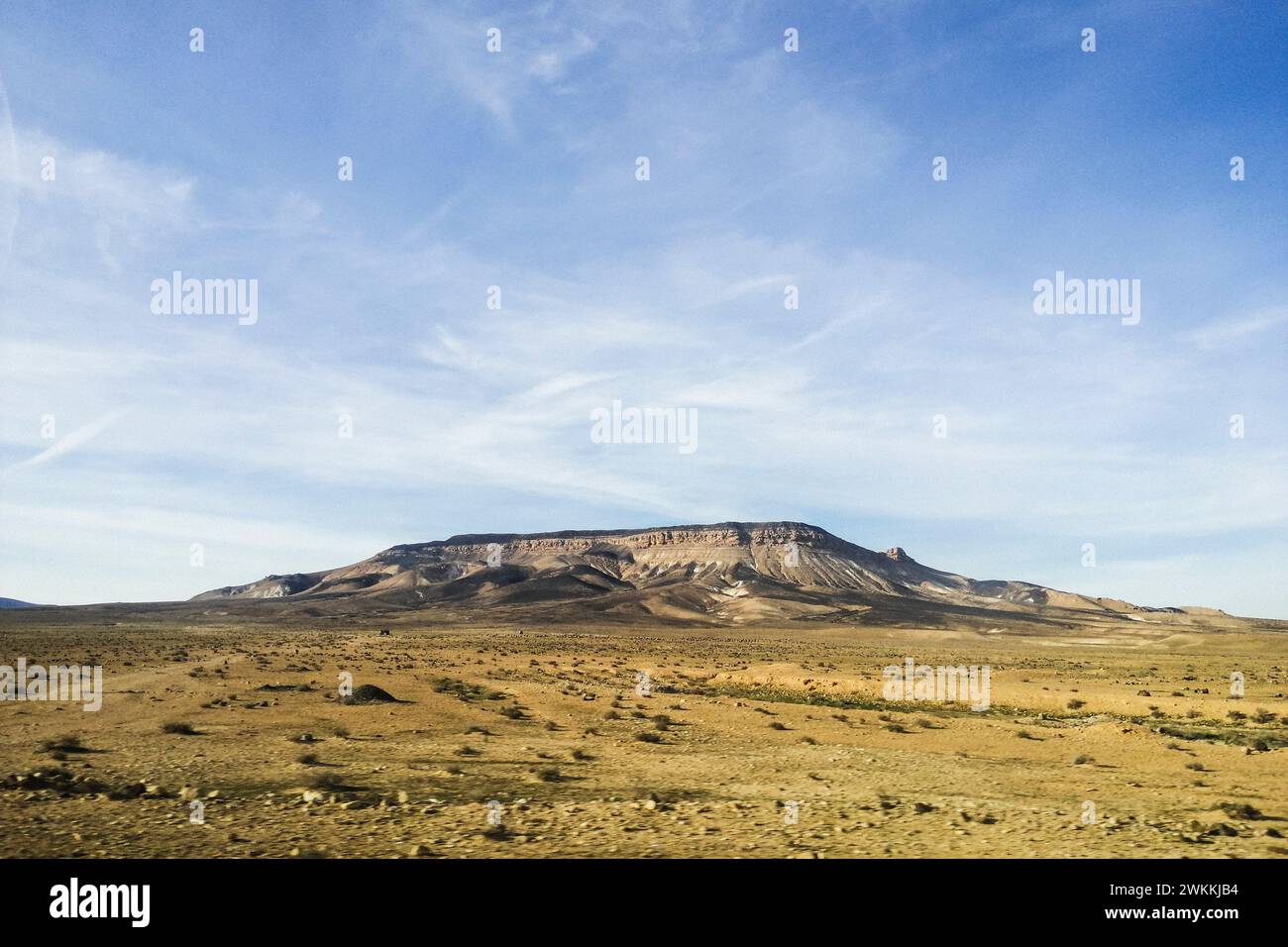 Syria, desert surroundings of Tadmor Stock Photo - Alamy