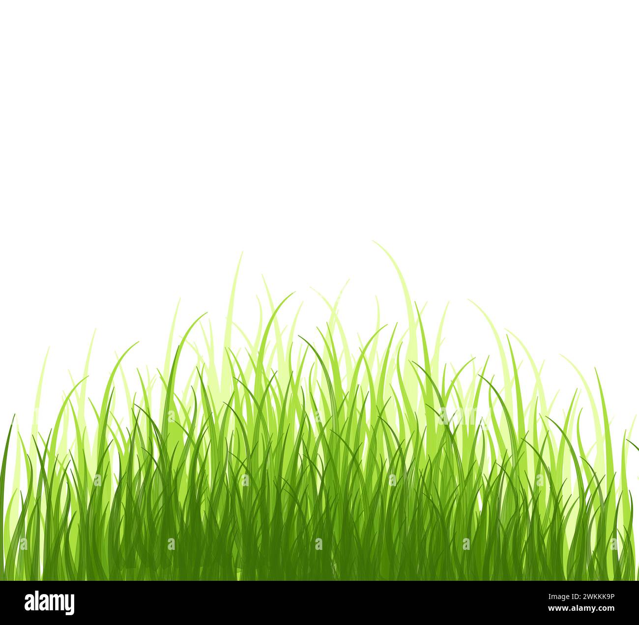 Green spring meadow grass. Fresh color plants, seasonal growth grass ...