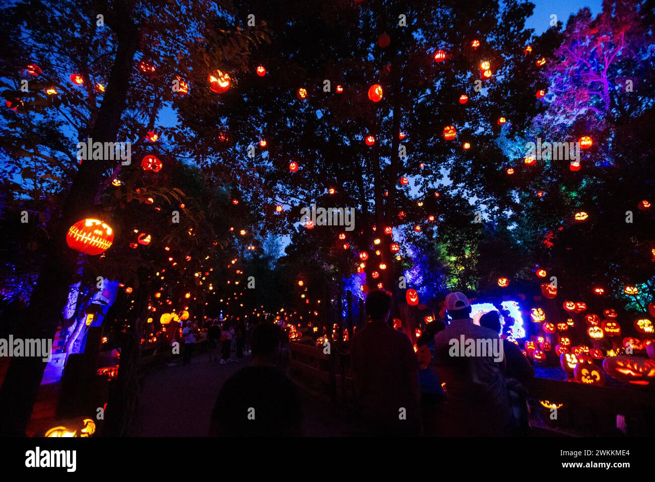 Visitors stroll through the JacoOLantern Spectacular pumpkin trail at