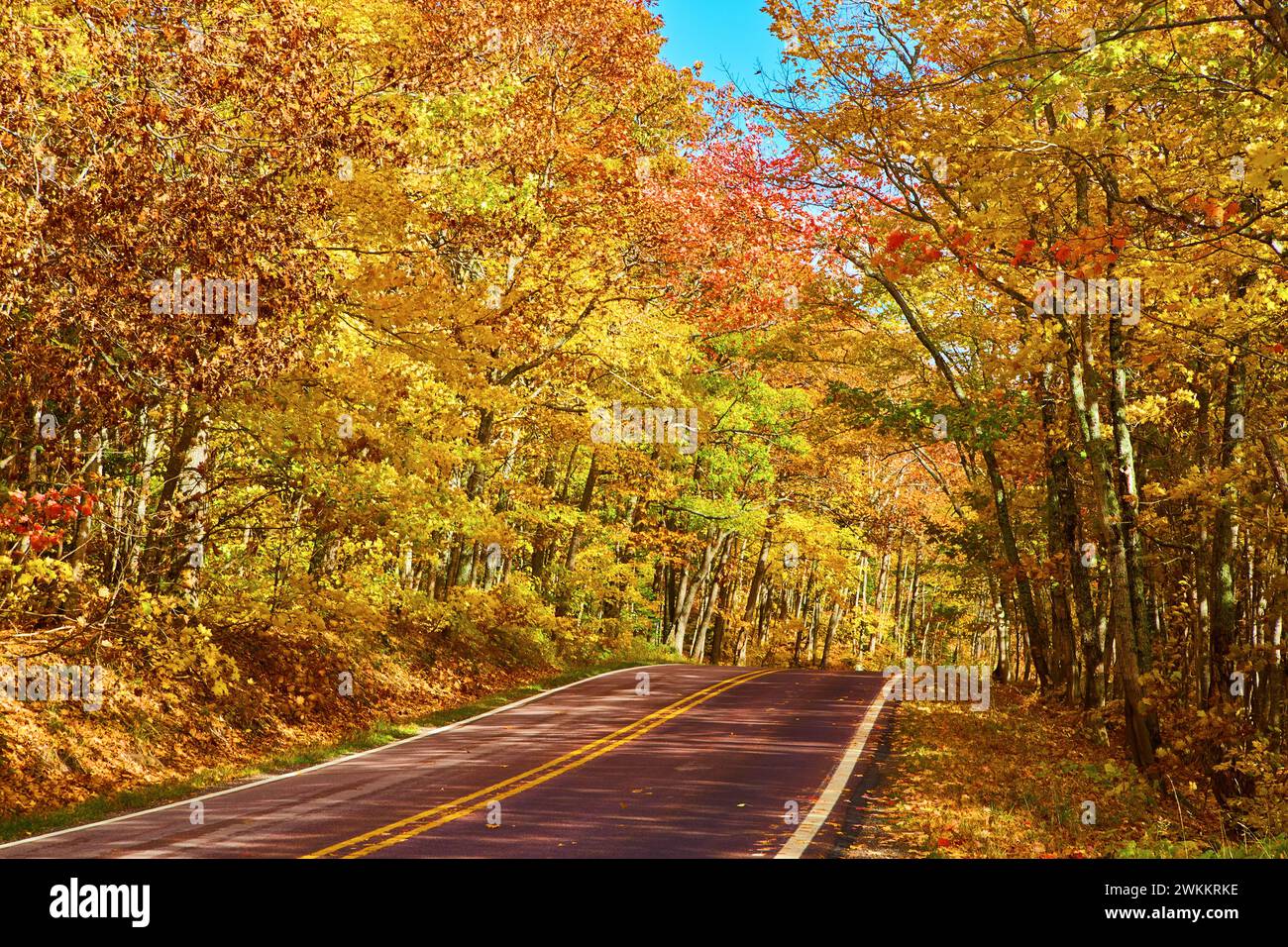 Autumn Splendor Road, Vibrant Fall Foliage, Keweenaw Forest Perspective ...