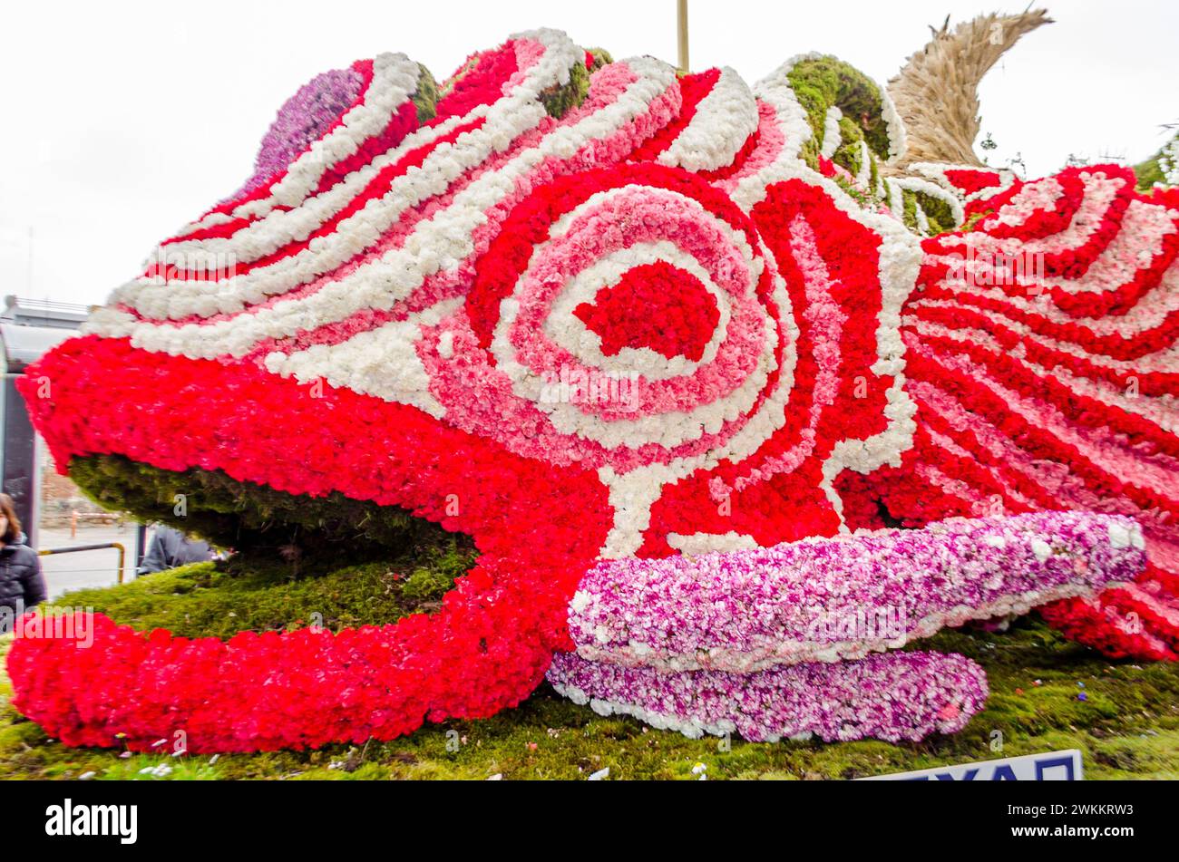 Giant Fish Carnival Float Made of Flowers. Big Statue Covered with Pink